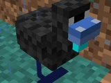Anti-Chicken
