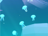 Moon Jellyfish