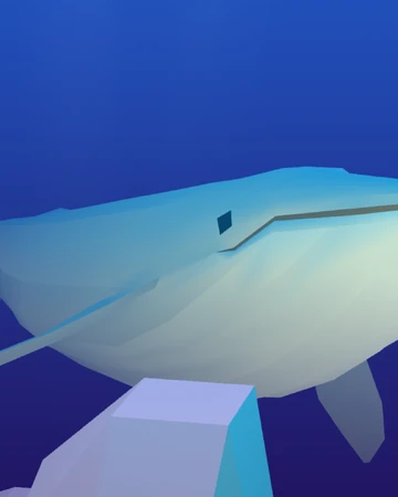 Blue Whale Abyssrium Wikia Fandom