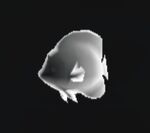 Ghost fish icon.jpg
