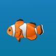 Red Clownfish.jpg