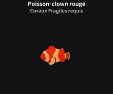 Poisson-clown rouge.jpg