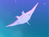 Manta Ray