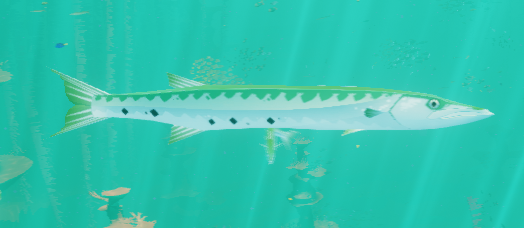 Barracuda konzu amazon hotsell