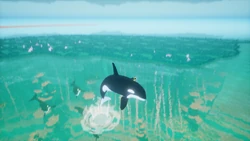 Orca - Abzu Wiki
