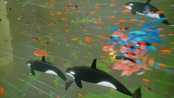 Orca - Abzu Wiki