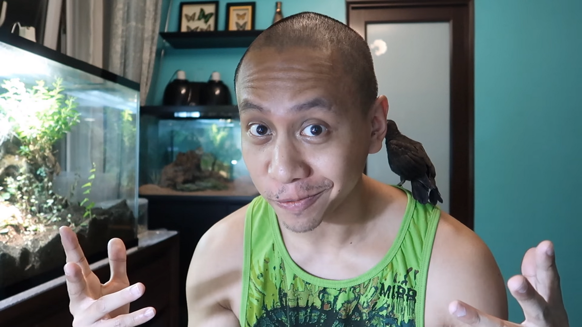 Mikey Bustos AC Family Wiki Fandom