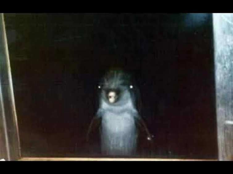 Unknown - Creature Sounds