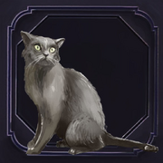 Cat.png