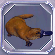Platypus.png