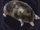 Familiar - Mole