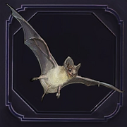 Bat