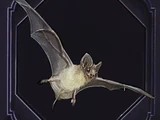 Familiar - Bat