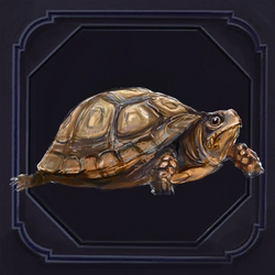 Turtle