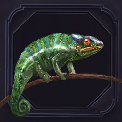 Chameleon