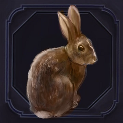 Rabbit