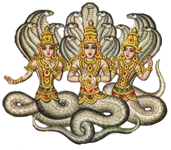 Nagas2