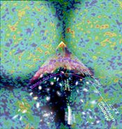 WMAPfractaluniverse.jpg (95 KB) A graphic showing how much of the sky a few TeraQuasars would cover.