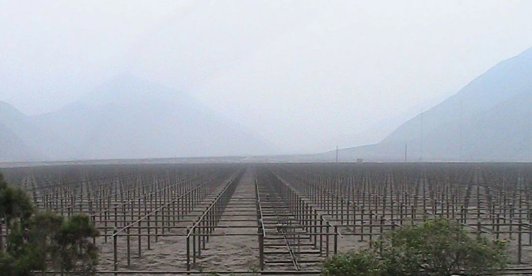 The antenna covers an area the size of several football pitches