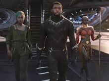 Black panther.jpg