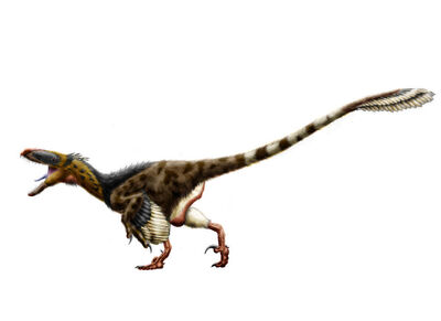Achillobator.jpg
