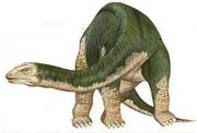 Brontosa2.jpg