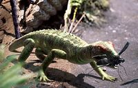 Petrolacosaurus.jpg