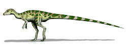 250px-Leaellynasaura BW.jpg