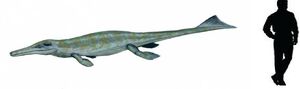 Metriorhynchus.jpg