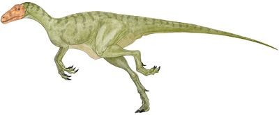 Staurikosaurus.jpg