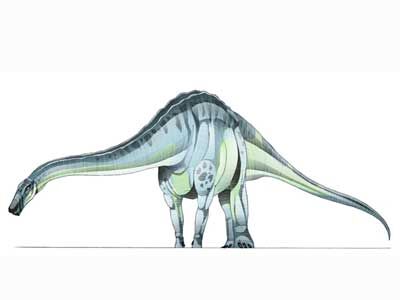 Quaesitosaurus-1.jpg