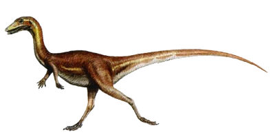 Procompsognathus