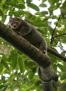 3719924525 76b49f2480.jpg (157 kB)