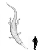 Steneosaurus.jpg