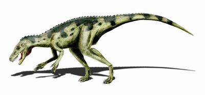 Herrerasaurus.jpg