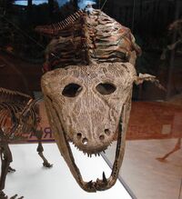 Mastodonsaurus giganteus.jpg