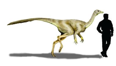 Struthiomimus.jpg