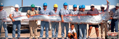 Oarfish-pez-remo.jpg