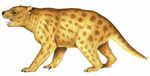 Thylacoleo