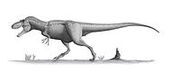 200px-Daspletosaurus torosus steveoc