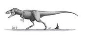200px-Daspletosaurus torosus steveoc.jpg