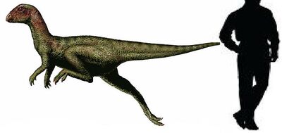 Zephyrosaurus