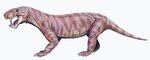 Dinogorgon.jpg