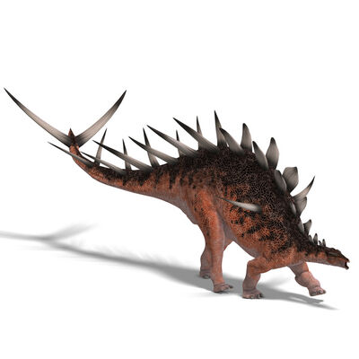 5773kentrosaurus