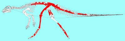 Gideonmantellia