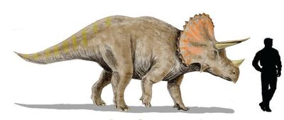 Triceratops