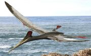 Pterodactilo