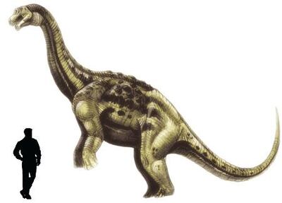 Aeolosaurus