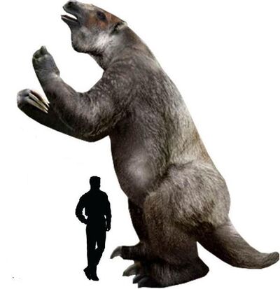 Megatherium2