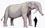 Deinotherium